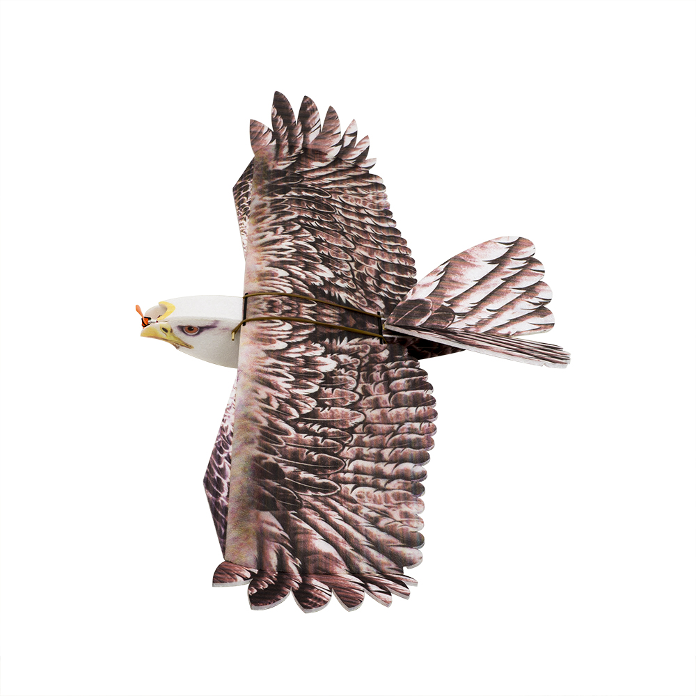 Rc Hobby Plane - DW Hobby Eagle II EPP Flugzeug