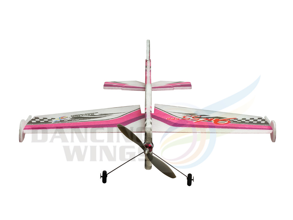 DW Hobby Foam EPP Flugzeug YAK – Rc Hobby Plane Bewertung und Preis