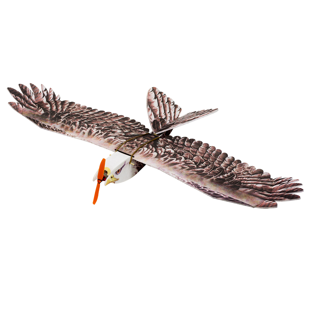 DW Hobby Eagle II EPP Flugzeug – Rc Hobby Plane Bewertung und Preis
